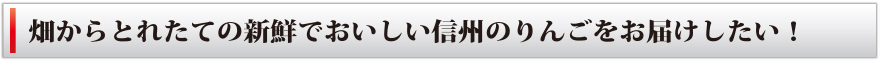 畑からとれたての新鮮でおいしい信州のりんごをお届けしたい！