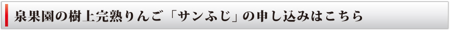 果園の樹上完熟りんご「サンふじ」の申し込みはこちら