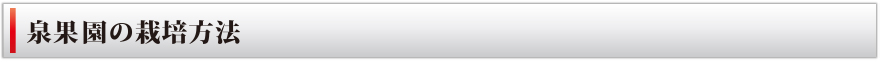 泉果園の栽培方法
