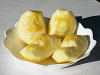 泉果園(せんかえん)写真07