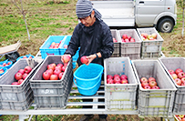 泉果園(せんかえん)写真04