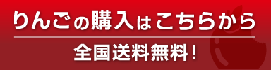 リンゴの購入はこちら