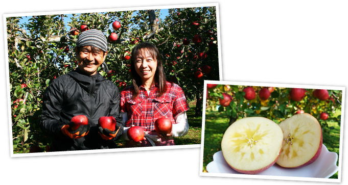 信州のりんご泉果園(せんかえん)