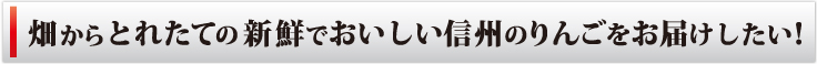 畑からとれたての新鮮でおいしい信州のりんごをお届けしたい！