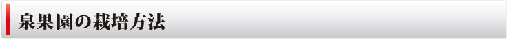 泉果園の栽培方法