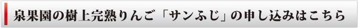 果園の樹上完熟りんご「サンふじ」の申し込みはこちら