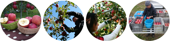 泉果園(せんかえん)の３つの約束画像